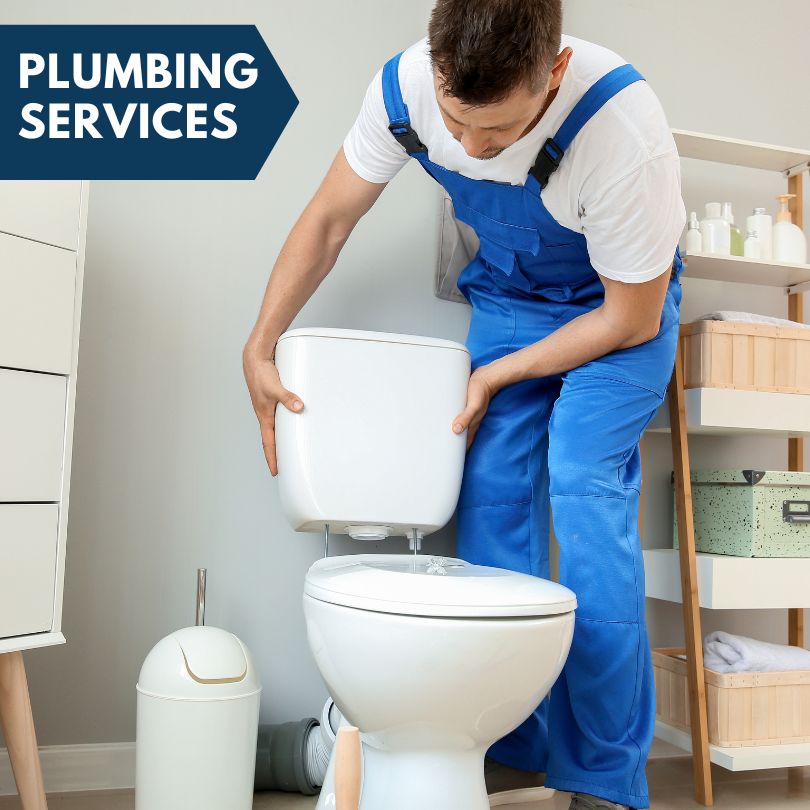 Plumbing Company in Santa Rosa Beach, FL